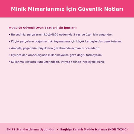 BRICKS C1017 Karakteri Mini Blok Yapım Seti | Kutulu Ambalaj | Orijinal