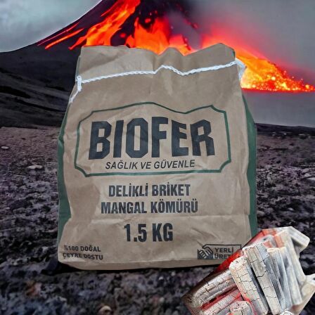 BİOFER Organik Delikli Briket Mangal Kömürü 1.5 kg (6 Saat 7800 Kcal/kg)