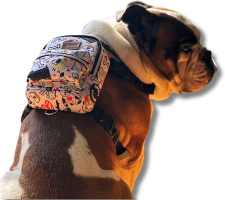 Köpek Sırt Çantası – 2’si 1 Arada Göğüs Tasması Fonksiyonlu, Geri Dönüştürülmüş, Su Geçirmez, Ayarlanabilir, Küçük &amp; Büyük Irklar için, Çantalı Göğüs Tasması,Small,Whitebone
