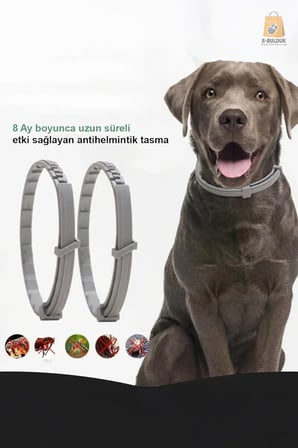 Köpek Anti Pire Kene Önleyici Tasma- Pire Önleyici -Kene Önleyici 63 cm