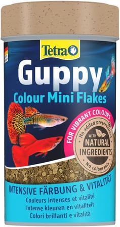 Guppy Colour Mini Flakes Pul Lepistes Yemi 100ml
