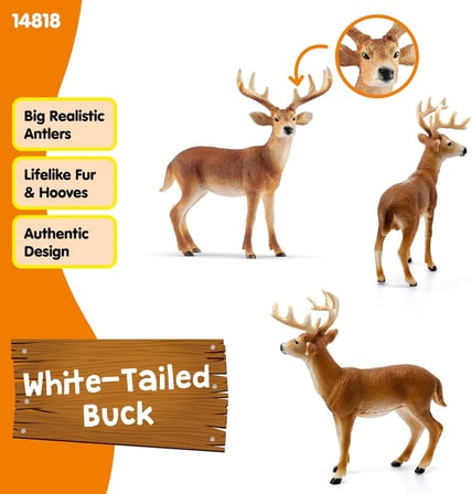 SCHLEICH 14818 Ak Kuyruklu Geyik Figür, Renkli