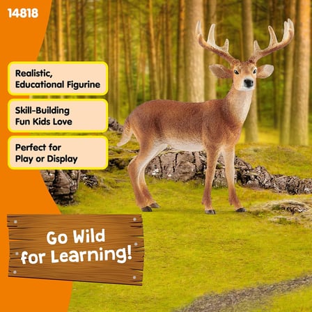 SCHLEICH 14818 Ak Kuyruklu Geyik Figür, Renkli