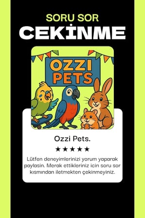 Hamster Keçe Yuva Ve Üçgen Oyun Tüneli - Doğal Malzeme, Konforlu Dinlenme &amp; Eğlenceli Aktivite