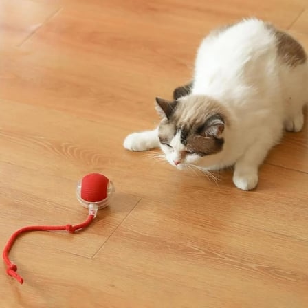 Kedi Oyuncağı Topu Kuyruklu Otomatik Yuvarlanan Top, Hareketli Kuyruk, USB Şarjlı, LED Işıklı, 3 Oyun Modu, Evcil Hayvanlar İçin Eğlenceli İnteraktif Oyuncak
