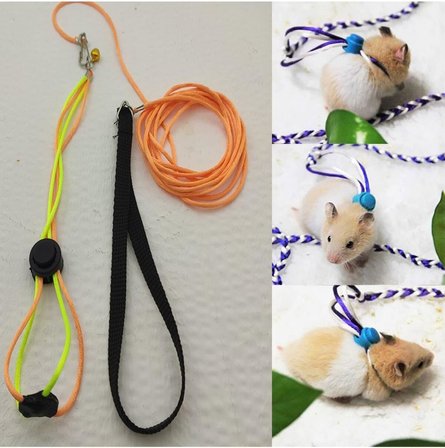 Gonzales Hamster Gezdirme Ve Dolaştırma Tasması Patentli Tasarım