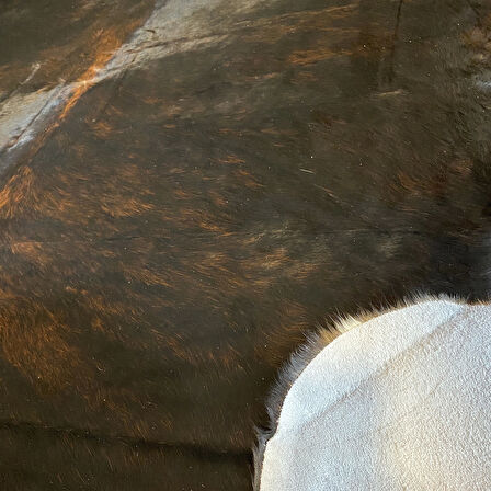 HAKİKİ DERİ DANA POSTU SİYAH 215 x 255 - 0101000017