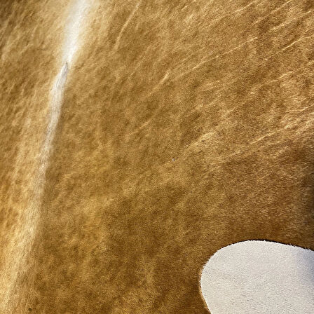 HAKİKİ DERİ DANA POSTU KAHVE 175 x 215 - 0201000048