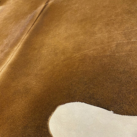 HAKİKİ DERİ DANA POSTU KAHVE 195 x 220 - 0201000051