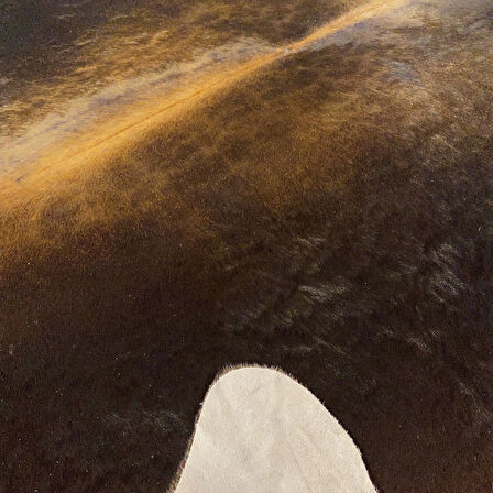 HAKİKİ DERİ DANA POSTU KAHVE 205 x 220 - 0201000073