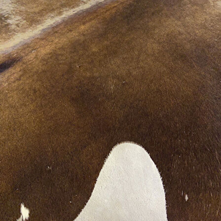 HAKİKİ DERİ DANA POSTU KAHVE 180 x 230 - 0201000074