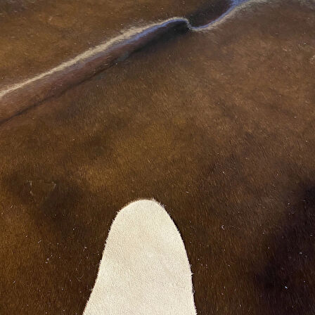 HAKİKİ DERİ DANA POSTU KAHVE 185 x 240 - 0201000102