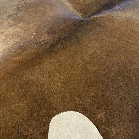 HAKİKİ DERİ DANA POSTU KAHVE 195 x 220 - 0201000104