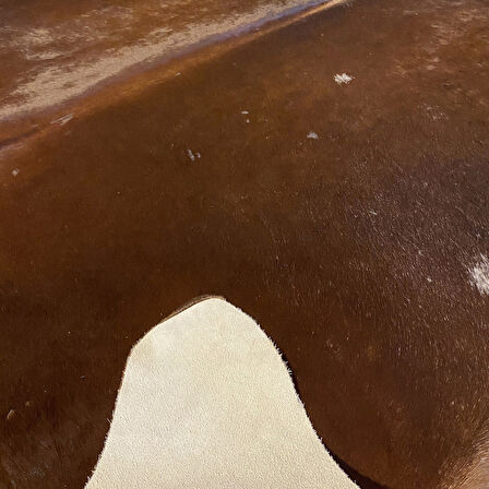 HAKİKİ DERİ DANA POSTU KAHVE 205 x 240 - 0201000115