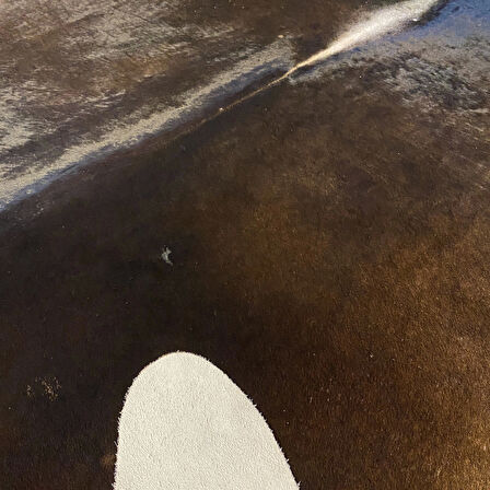 HAKİKİ DERİ DANA POSTU KAHVE 195 x 255 - 0201000118