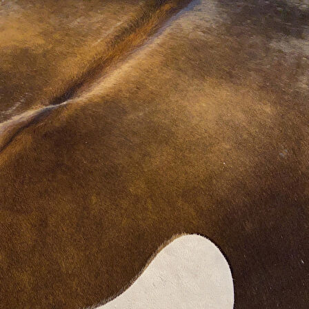 HAKİKİ DERİ DANA POSTU KAHVE 165 x 190 - 0201000150