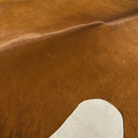 HAKİKİ DERİ DANA POSTU KAHVE 195 x 215 - 0201000168