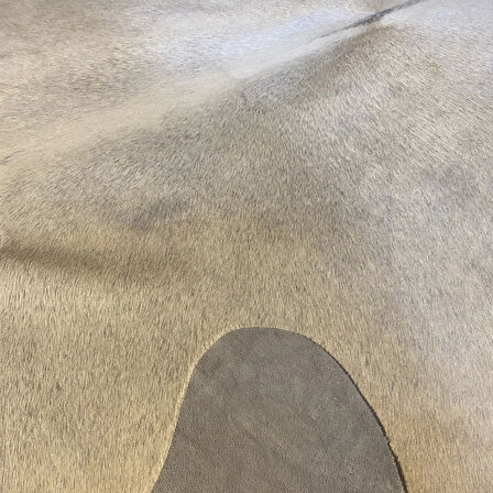 HAKİKİ DERİ DANA POSTU GRİ 200 x 230 - 0301000015