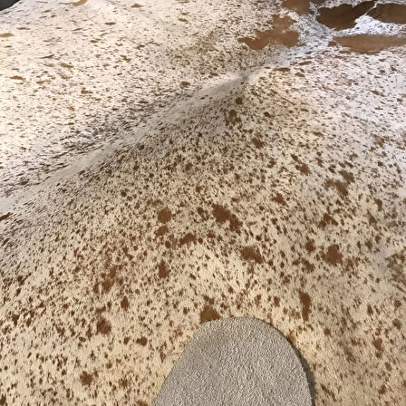 HAKİKİ DERİ DANA POSTU MİNİK BENEK 195 x 225 - 0601000008