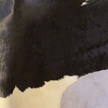 HAKİKİ DERİ DANA POSTU SİYAH - BEYAZ 215 x 255 - 0701000038