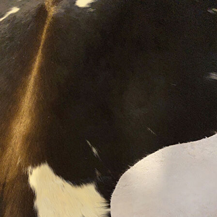 HAKİKİ DERİ DANA POSTU SİYAH - BEYAZ 185 x 210 - 0701000050