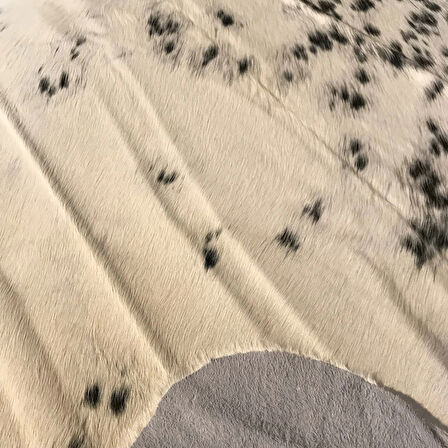 HAKİKİ DERİ DANA POSTU SİYAH - BEYAZ 180 x 200 - 0701000206