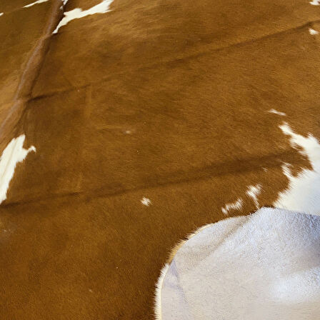 HAKİKİ DERİ DANA POSTU KAHVE - BEYAZ 200 x 235 - 0801000097