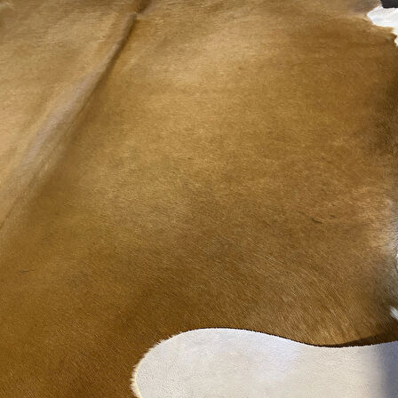 HAKİKİ DERİ DANA POSTU KAHVE - BEYAZ 180 x 215 - 0801000138