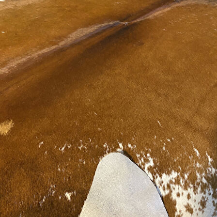 HAKİKİ DERİ DANA POSTU KAHVE - BEYAZ 180 x 225 - 0801000140