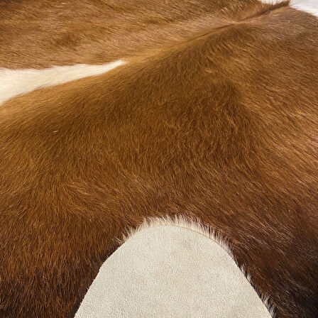 HAKİKİ DERİ DANA POSTU KAHVE - BEYAZ 165 x 210 - 0801000144