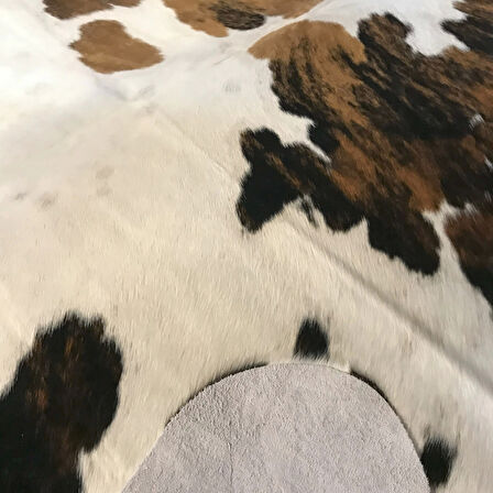 HAKİKİ DERİ DANA POSTU ÜÇ RENK 160 x 210 - 0901000123