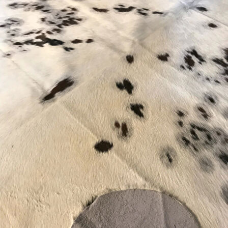 HAKİKİ DERİ DANA POSTU ÜÇ RENK 185 x 210 - 0901000139