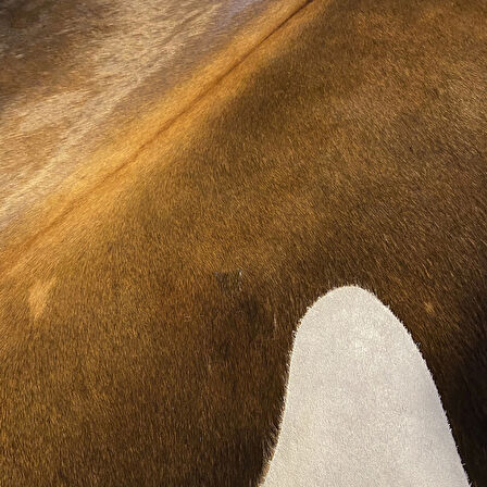 HAKİKİ DERİ DANA POSTU MIX KAHVE 195 x 225 - 1001000014