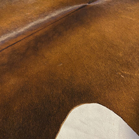 HAKİKİ DERİ DANA POSTU MIX KAHVE 205 x 230 - 1001000039