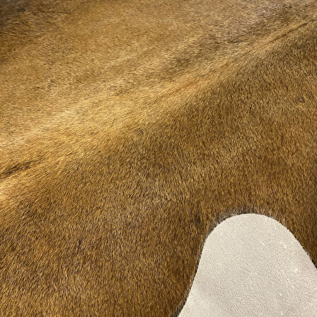 HAKİKİ DERİ DANA POSTU MIX KAHVE 195 x 240 - 1001000059