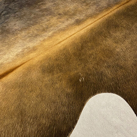 HAKİKİ DERİ DANA POSTU MIX KAHVE 180 x 210 - 1001000081