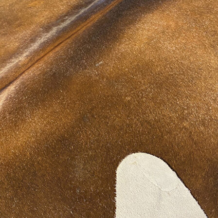 HAKİKİ DERİ DANA POSTU MIX KAHVE 190 x 225 - 1001000082