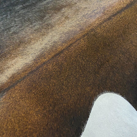 HAKİKİ DERİ DANA POSTU MIX KAHVE 195 x 235 - 1001000098