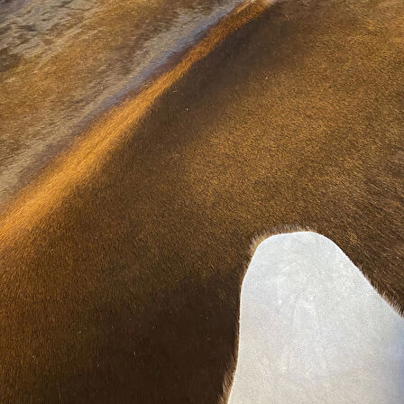 HAKİKİ DERİ DANA POSTU MIX KAHVE 200 x 220 - 1001000099