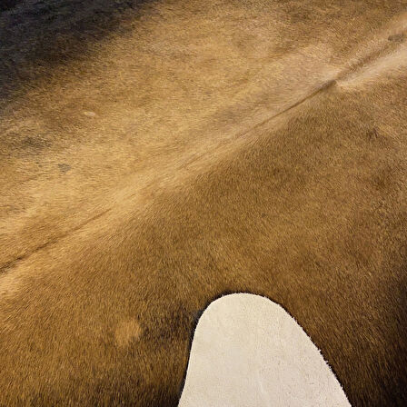 HAKİKİ DERİ DANA POSTU MIX KAHVE 185 x 230 - 1001000112