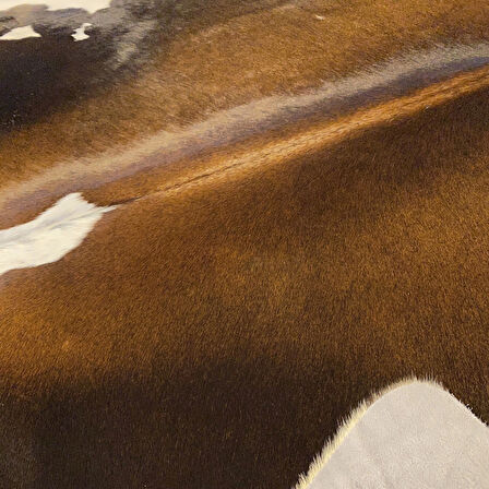 HAKİKİ DERİ DANA POSTU MIX KAHVE 190 x 200 - 1001000120