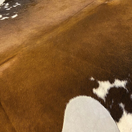 HAKİKİ DERİ DANA POSTU MIX KAHVE 190 x 220 - 1001000148