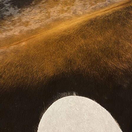 HAKİKİ DERİ DANA POSTU MIX KAHVE 180 x 215 - 1001000156