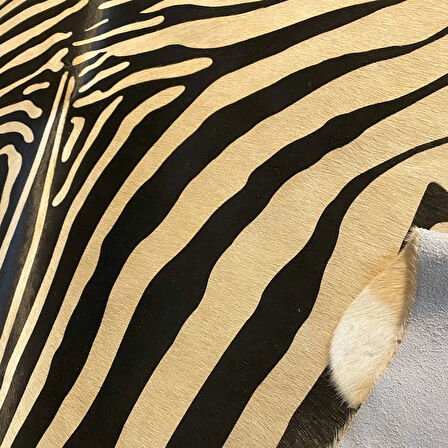 HAKİKİ DERİ DANA POSTU KAHVE ZEBRA 200 x 235 - 1101000014