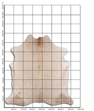 Hakiki Deri Dana Postu Bej 220 x 230 cm - 101471