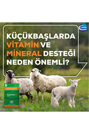 Bakosel Sığır Ve Koyunlar Için Tamamlayıcı Yem 50 Kapsül