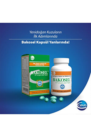 Bakosel Sığır Ve Koyunlar Için Tamamlayıcı Yem 50 Kapsül