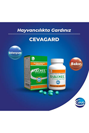 Bakosel Sığır Ve Koyunlar Için Tamamlayıcı Yem 50 Kapsül