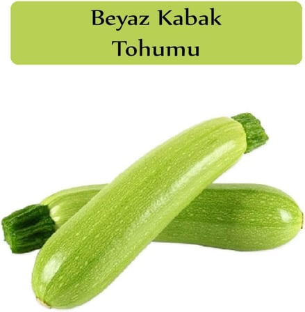 Beyaz Kabak Tohumu 1 Paket (10Gr=100+ Adet) Sakız Kabak Tohumu