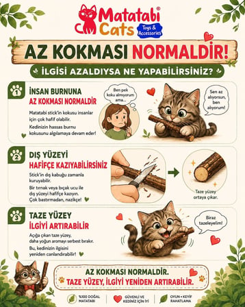 Mini Sticks 5’li |Doğal ince Matatabi çubuğu Kedi Oyuncağı | İnce Çiğneme Çubuğu | Kedi Diş Bakımı | 12 cm